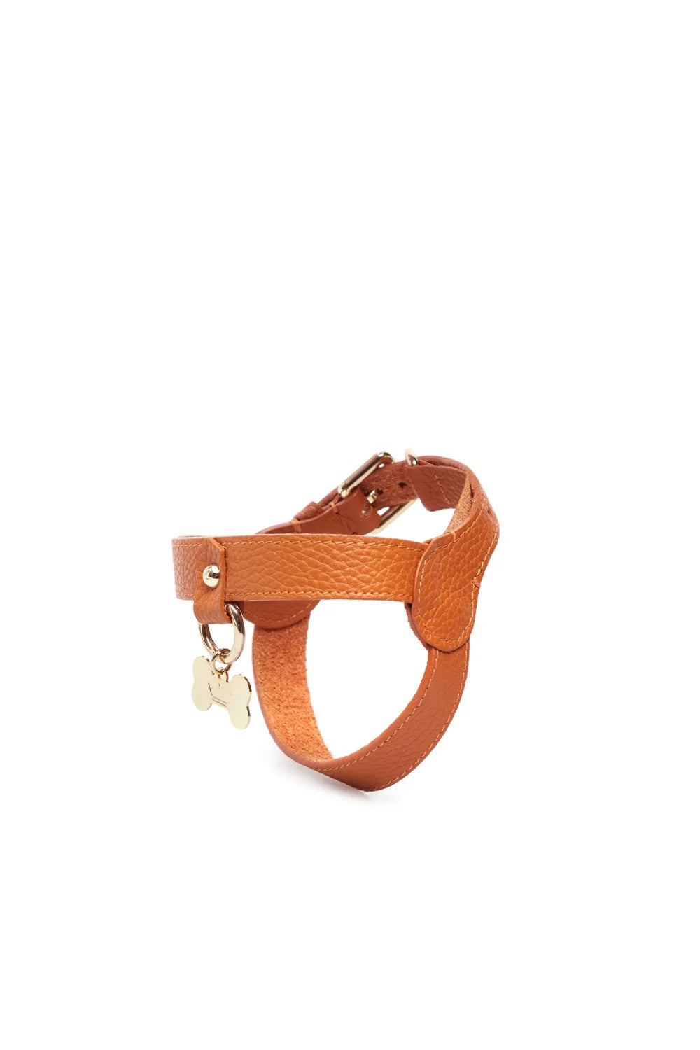Leather harness "Classic"