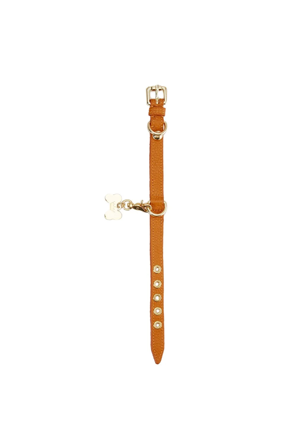 Leather collar "Dot"