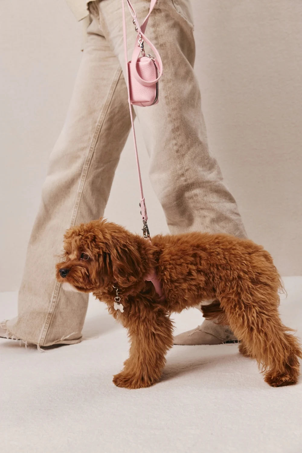 Leather harness "Classic"