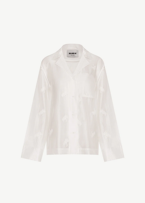 Sheer shirt