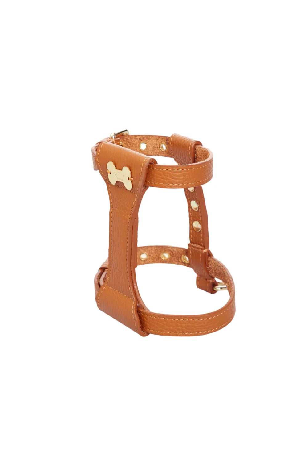 "Dot" harness