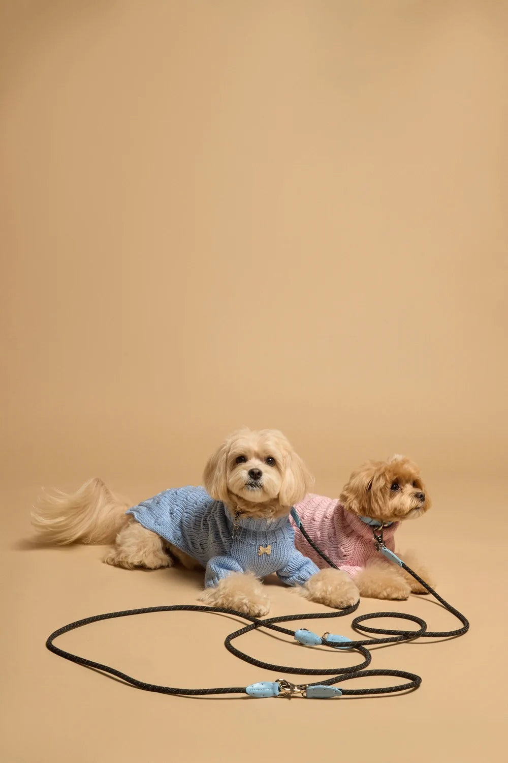 Easy Rope leash