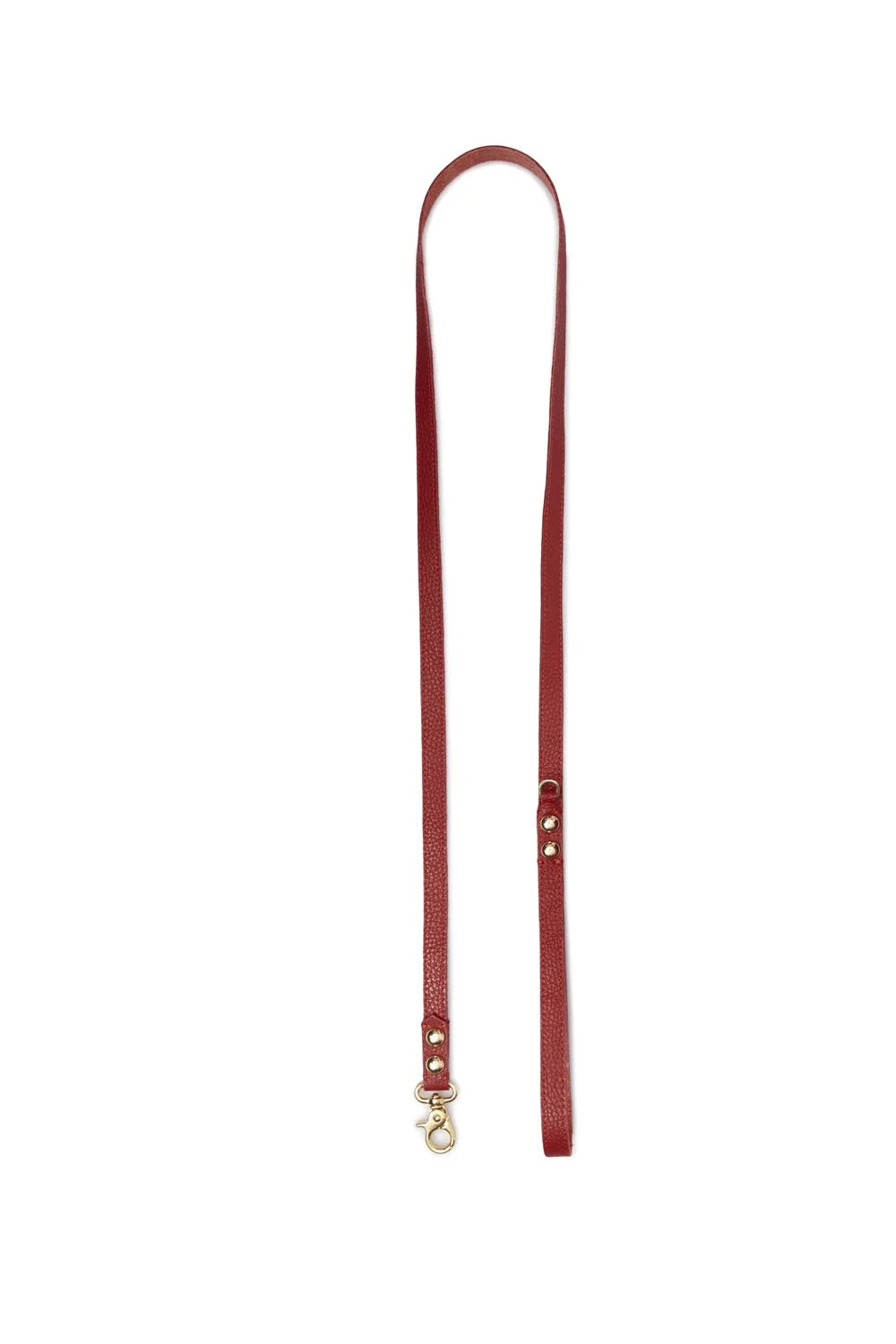 Leather leash