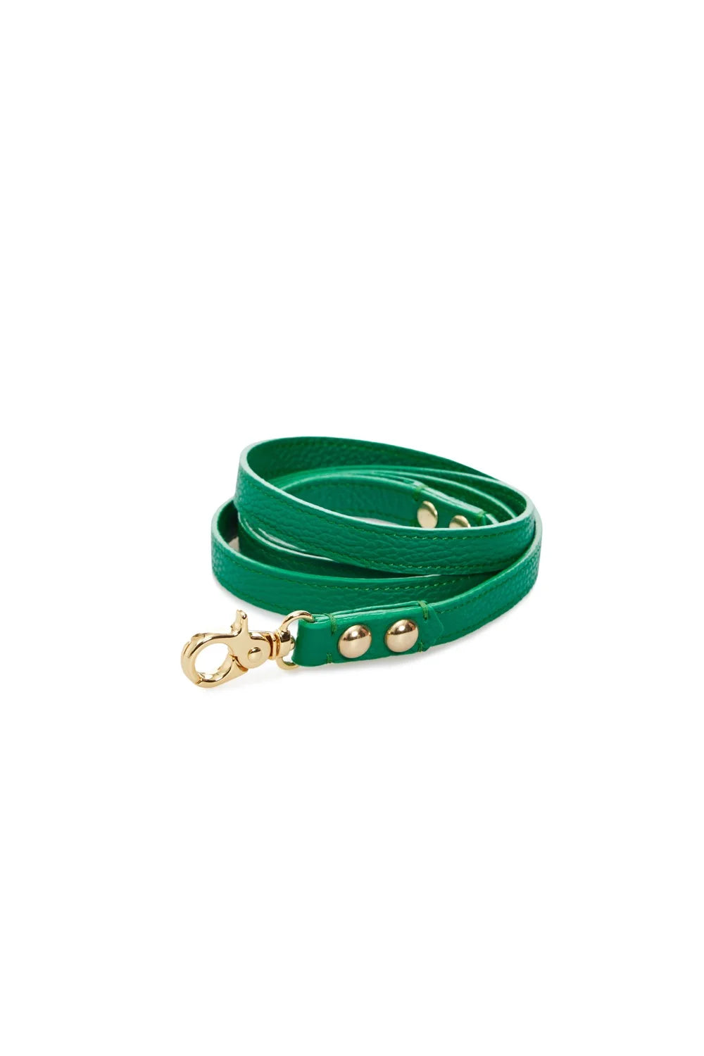 Leather leash