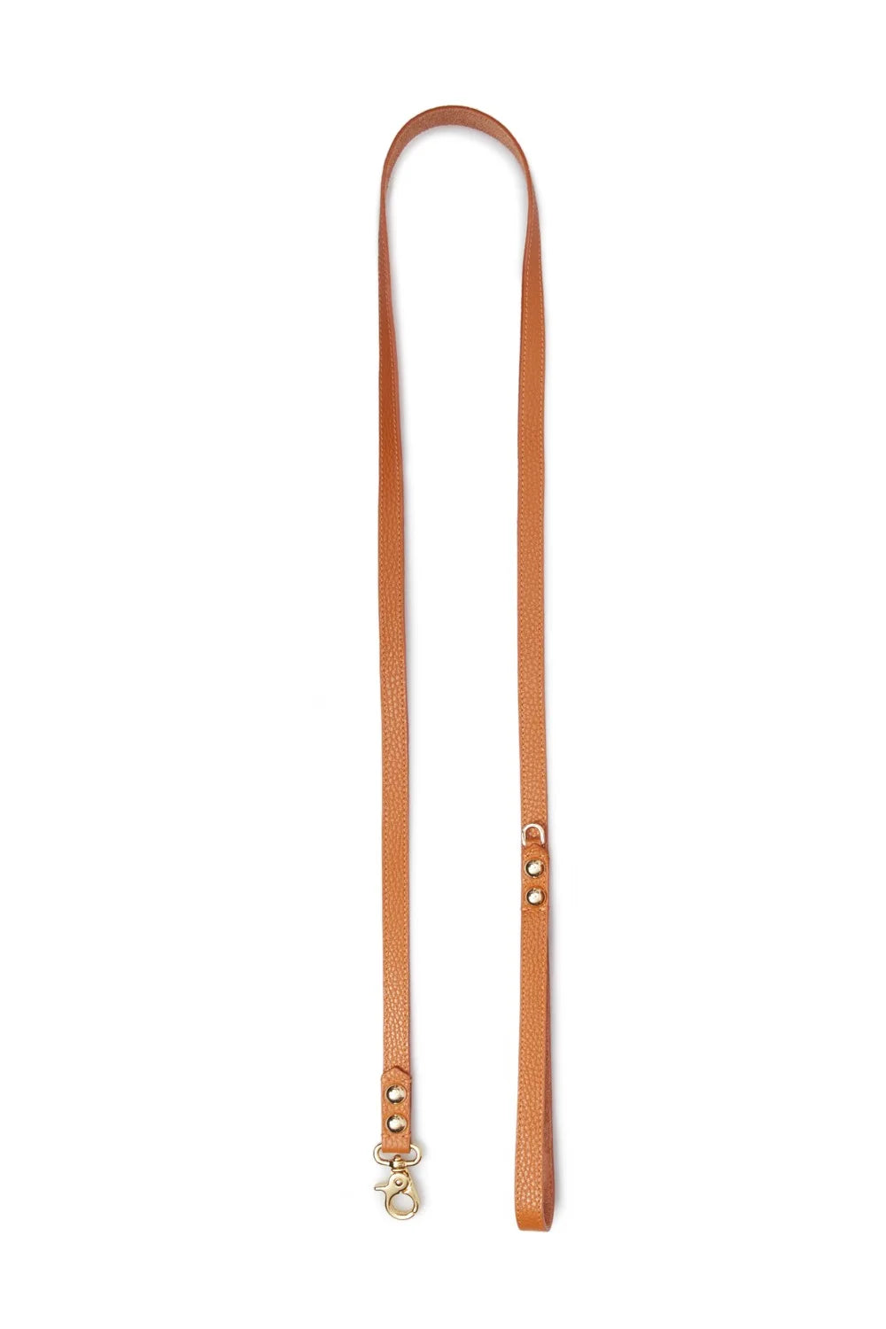 Leather leash