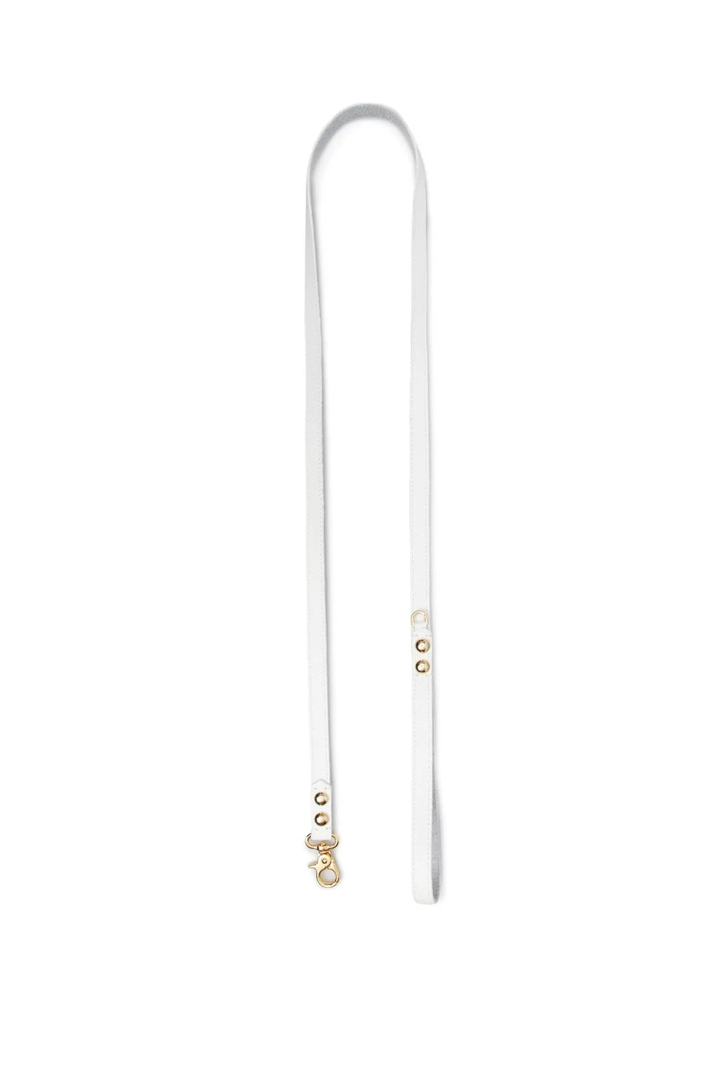 Leather leash