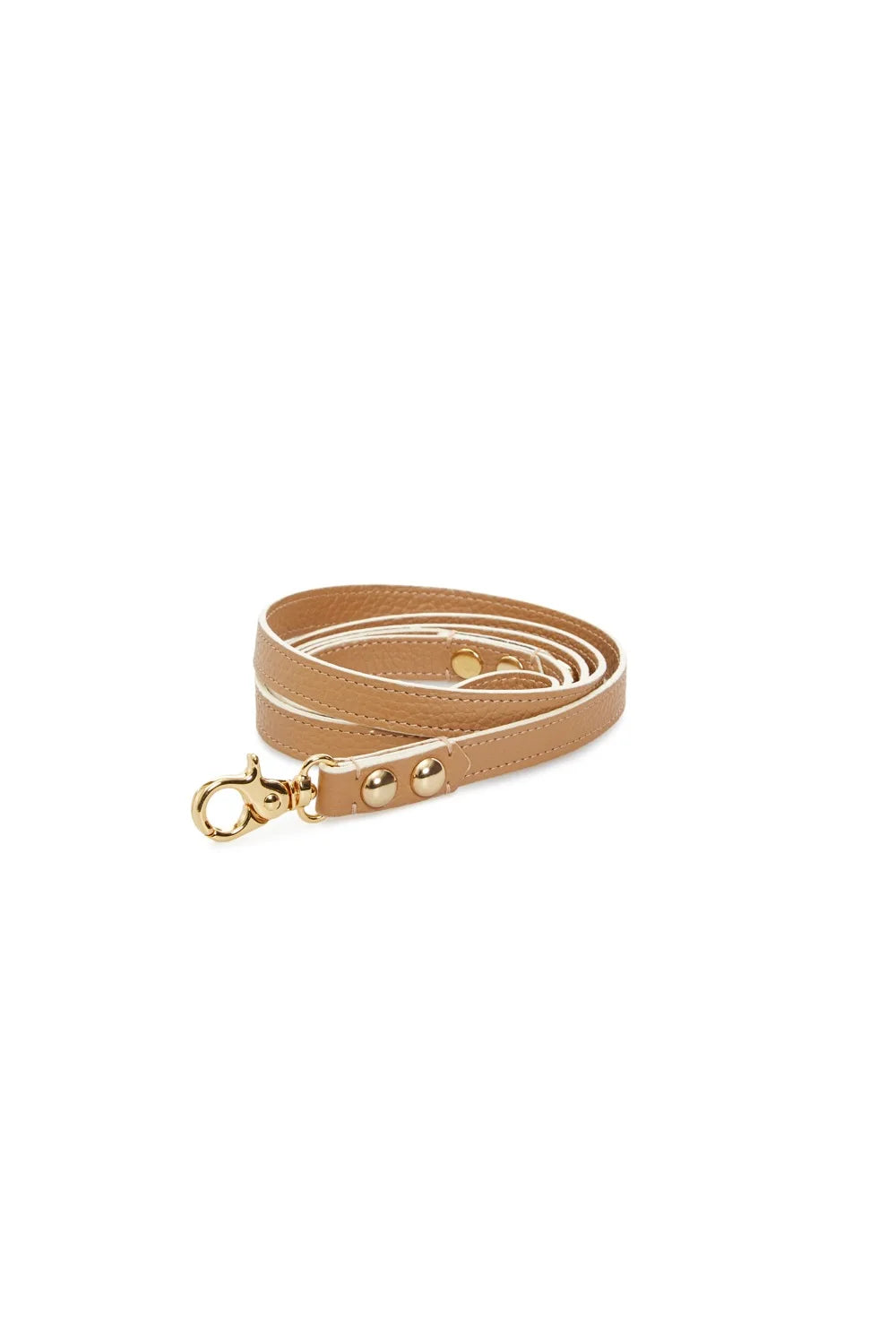 Leather leash
