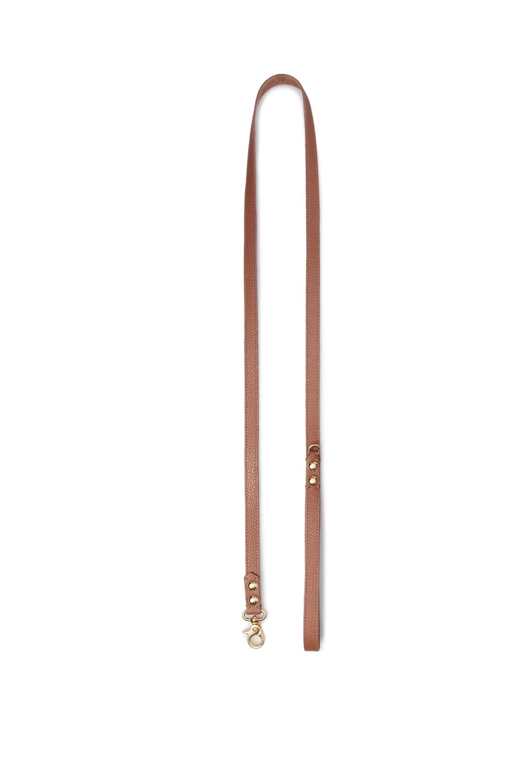 Leather leash