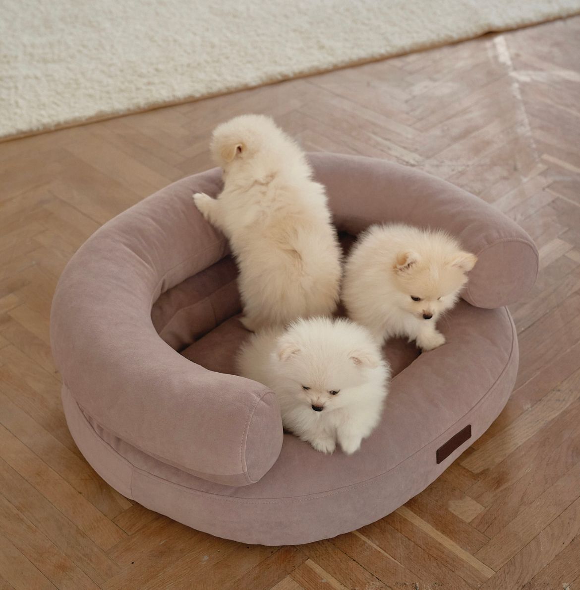 CHOUCHOU orthopedic bed for dogs “Marshmallow” brown