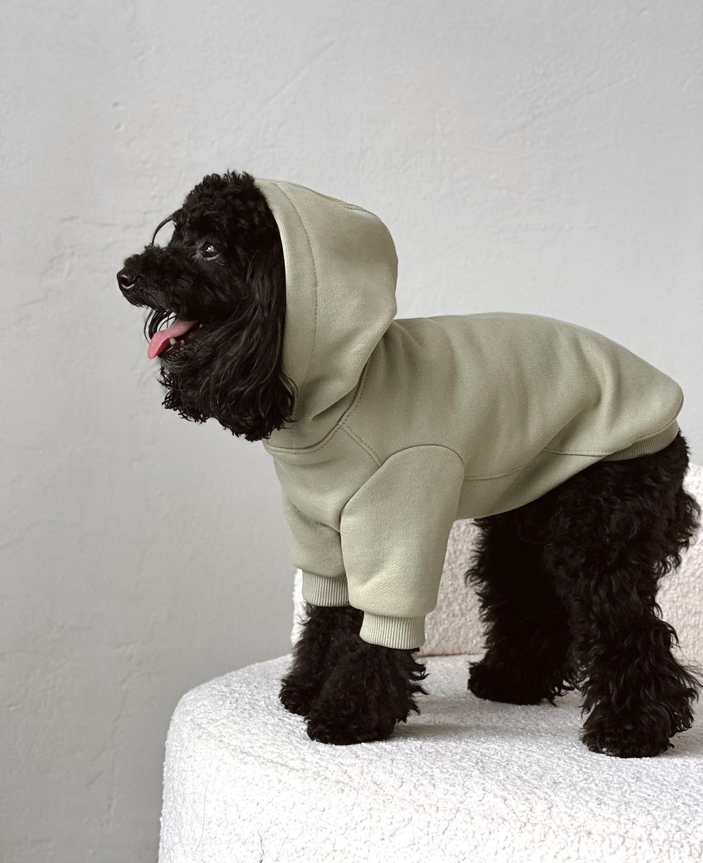 Hoodies for dogs
