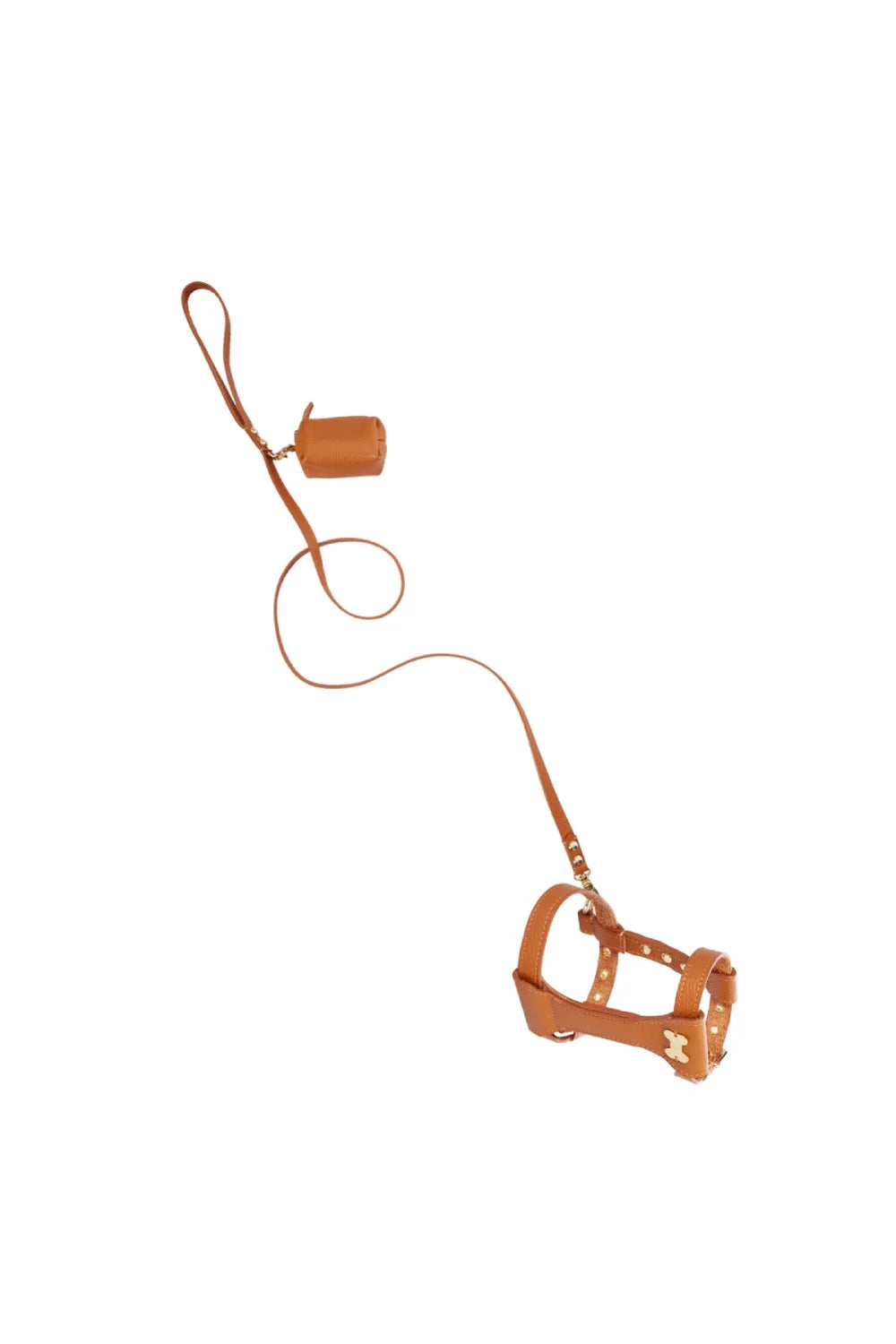 "Dot" harness