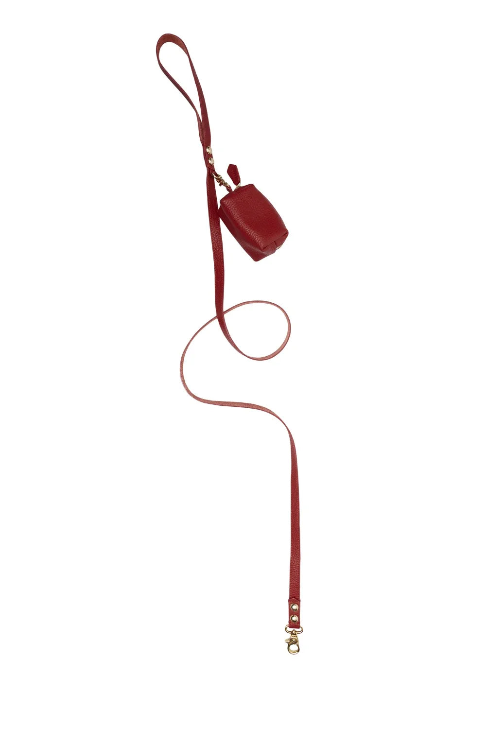 Leather leash