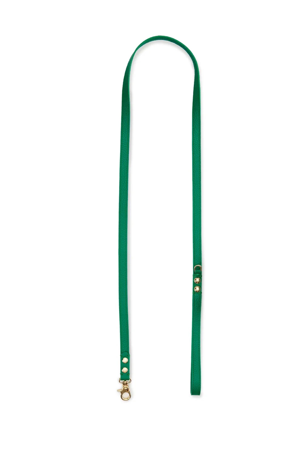 Leather leash