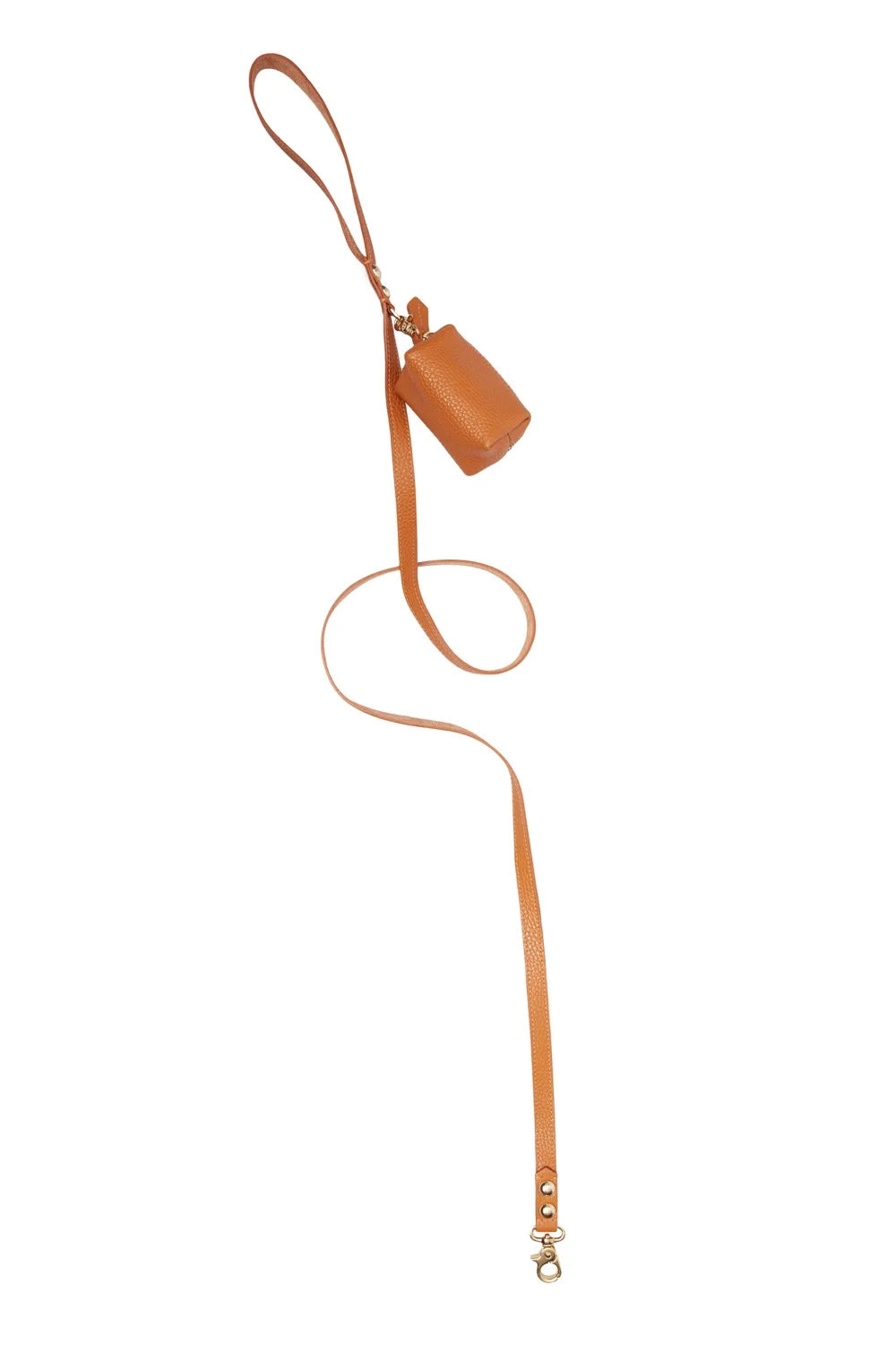 Leather leash