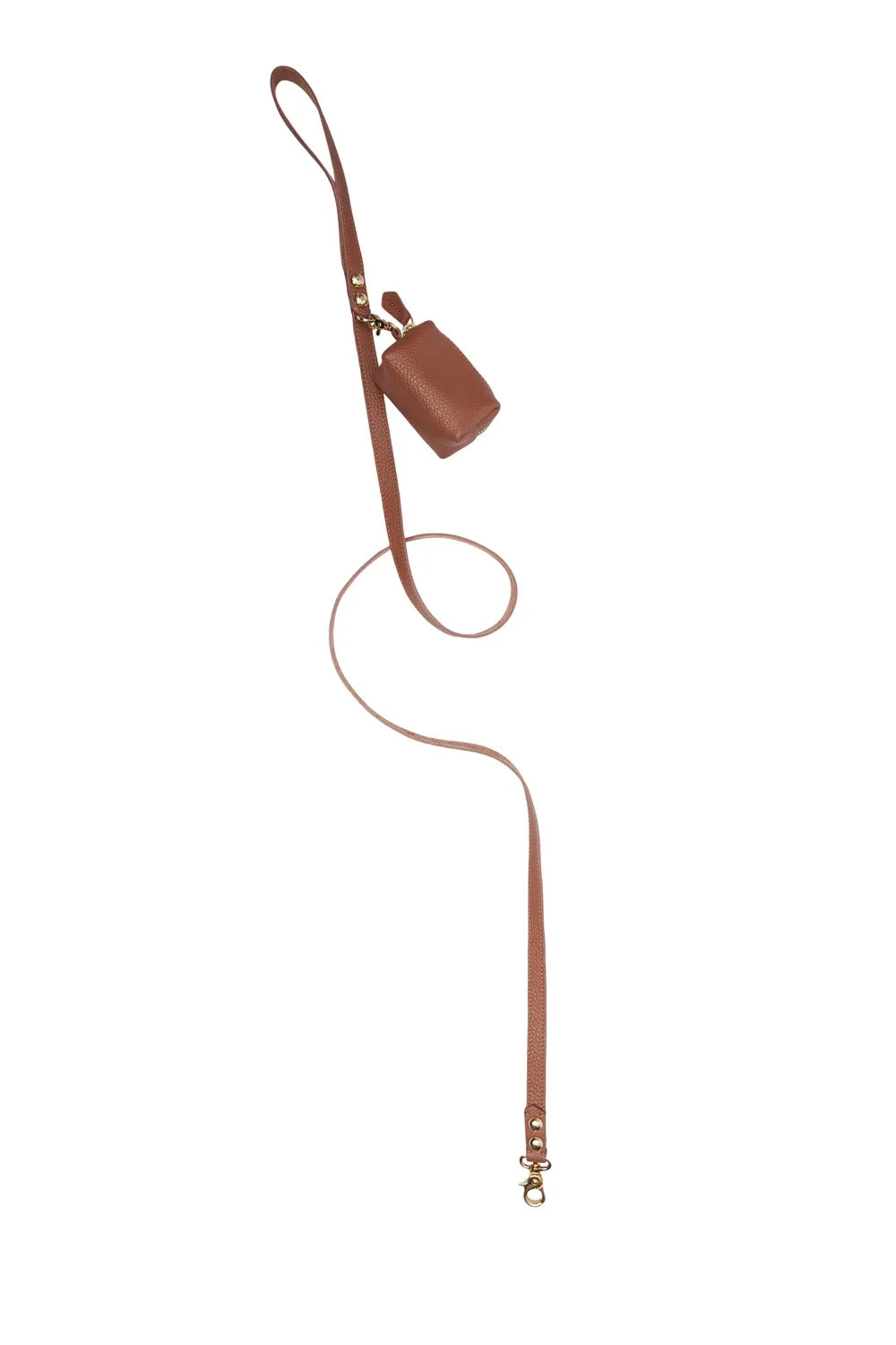Leather leash