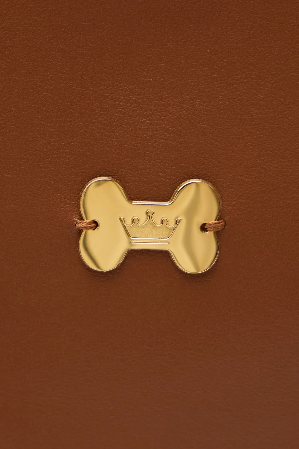Leather cover for veterinary passport "PaWsport"