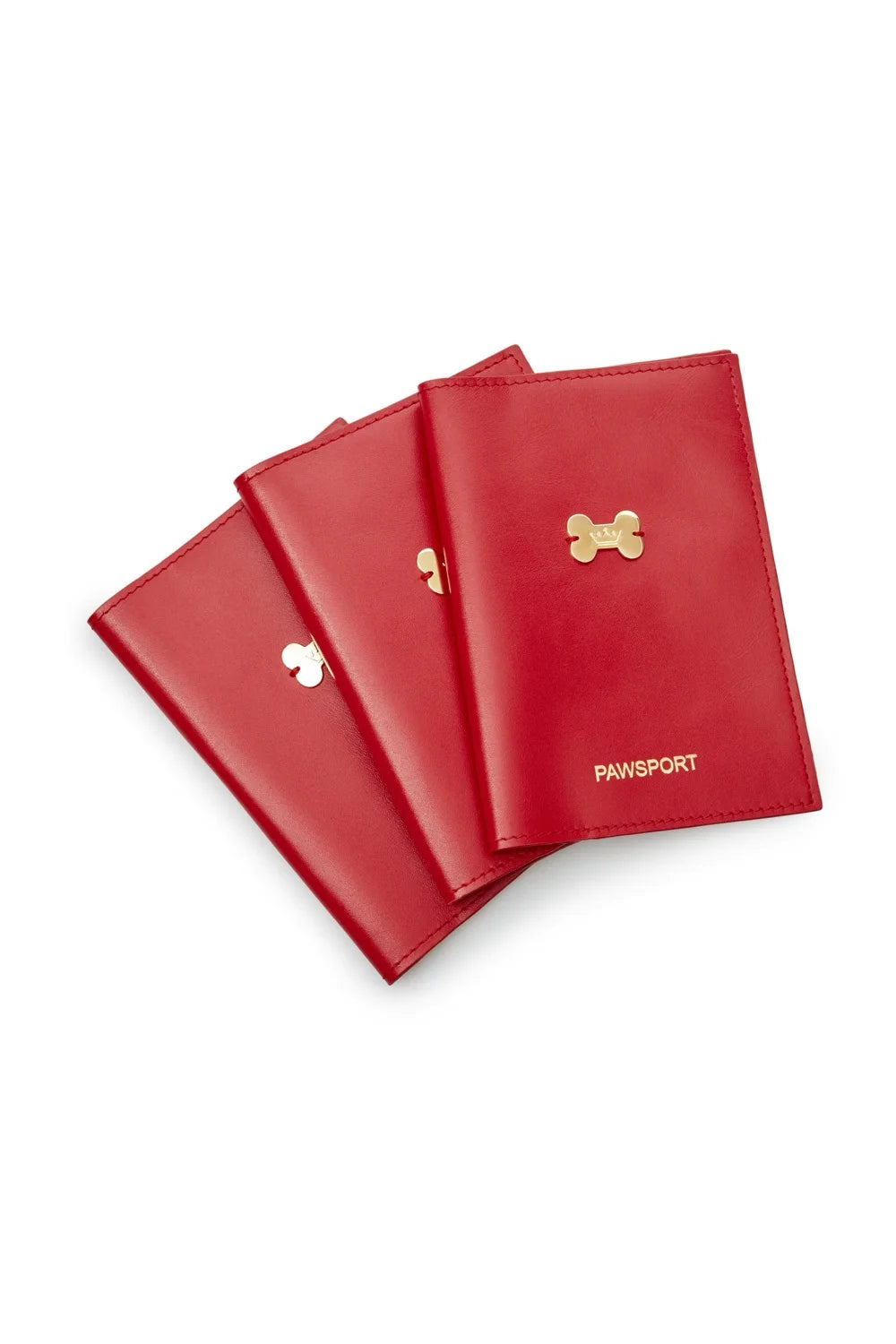 Leather cover for veterinary passport "PaWsport"