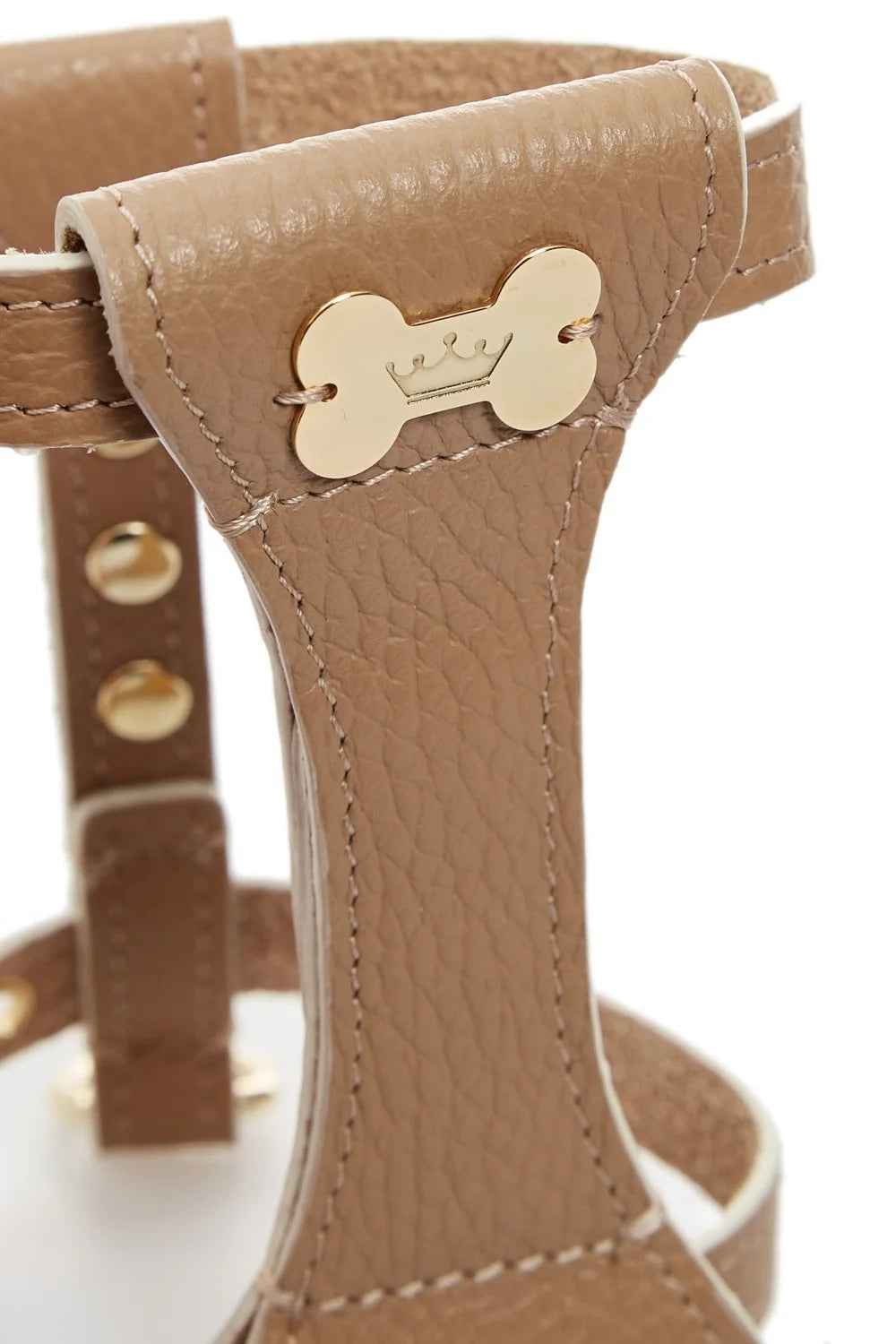"Dot" harness