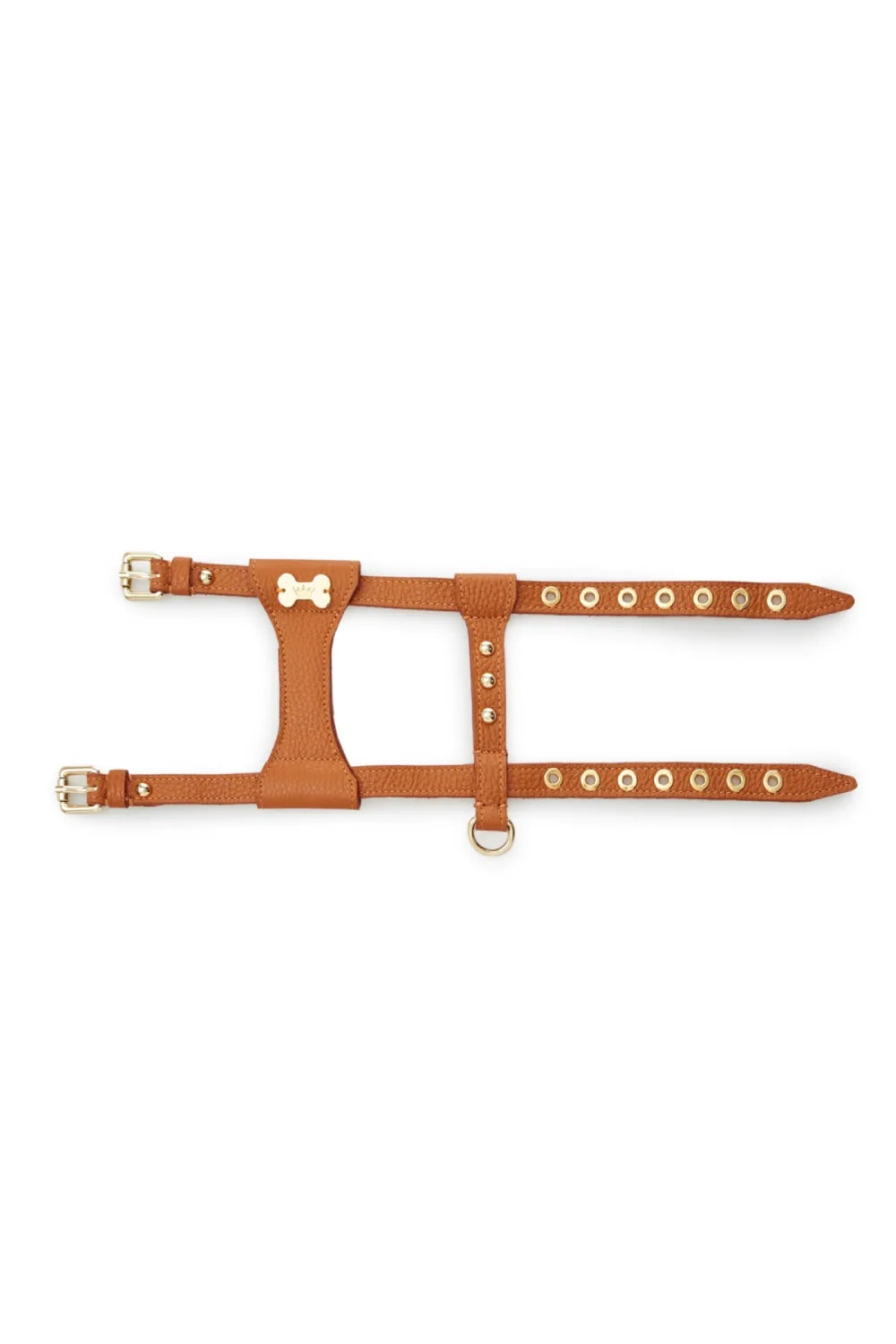 "Dot" harness