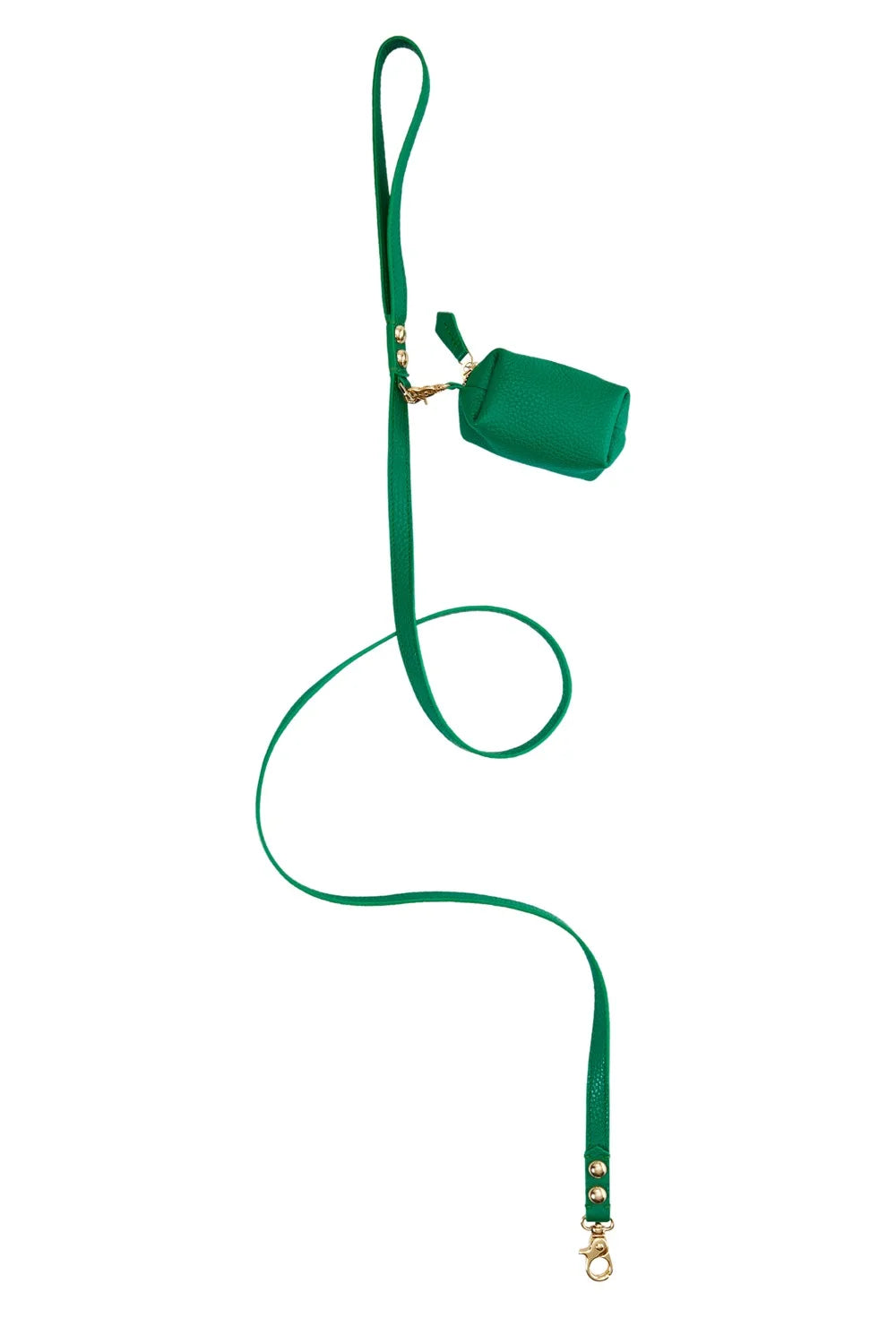 Leather leash