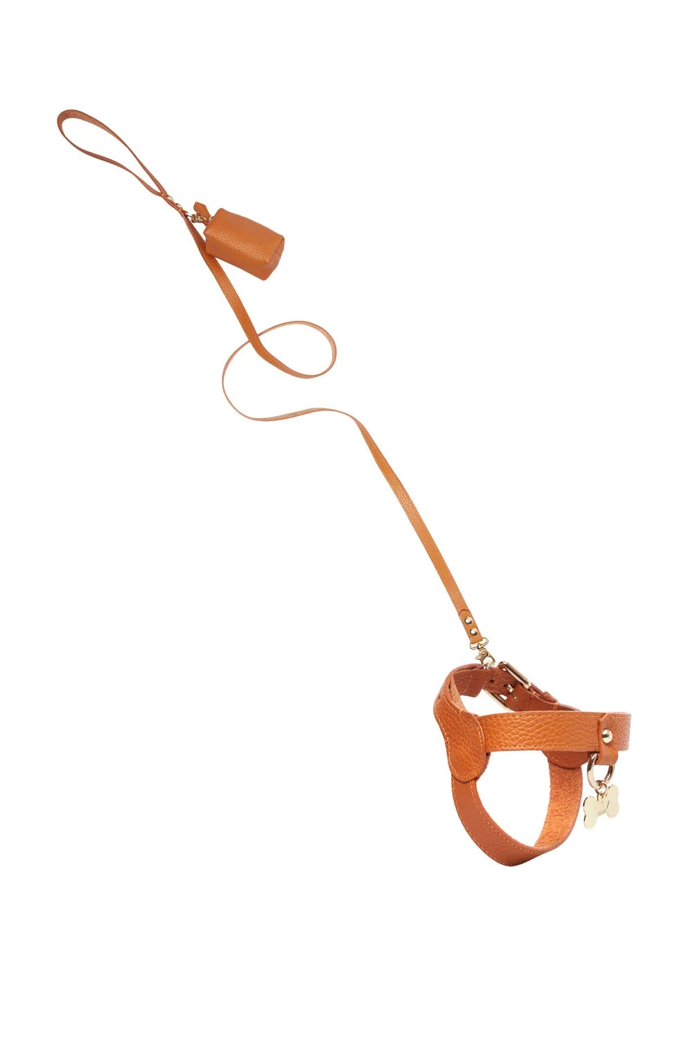 Leather leash