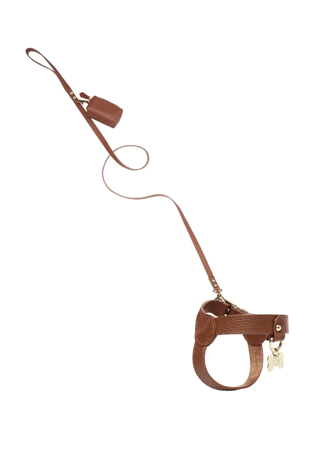 Leather leash