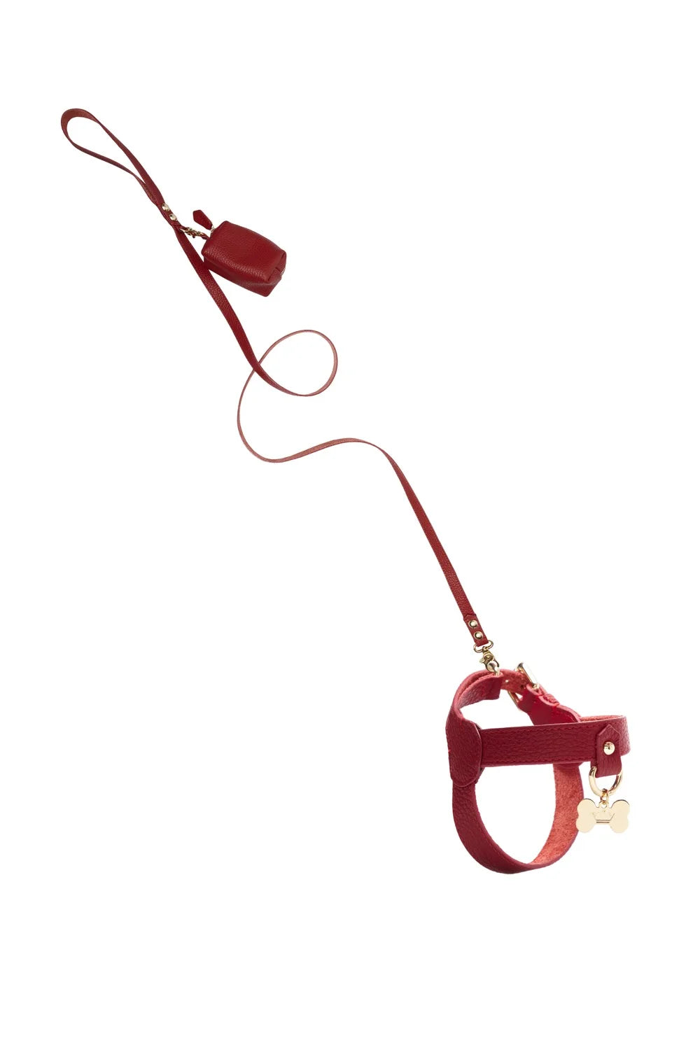 Leather leash