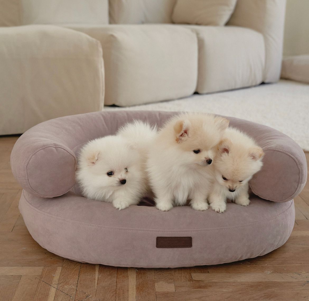 CHOUCHOU orthopedic bed for dogs “Marshmallow” brown