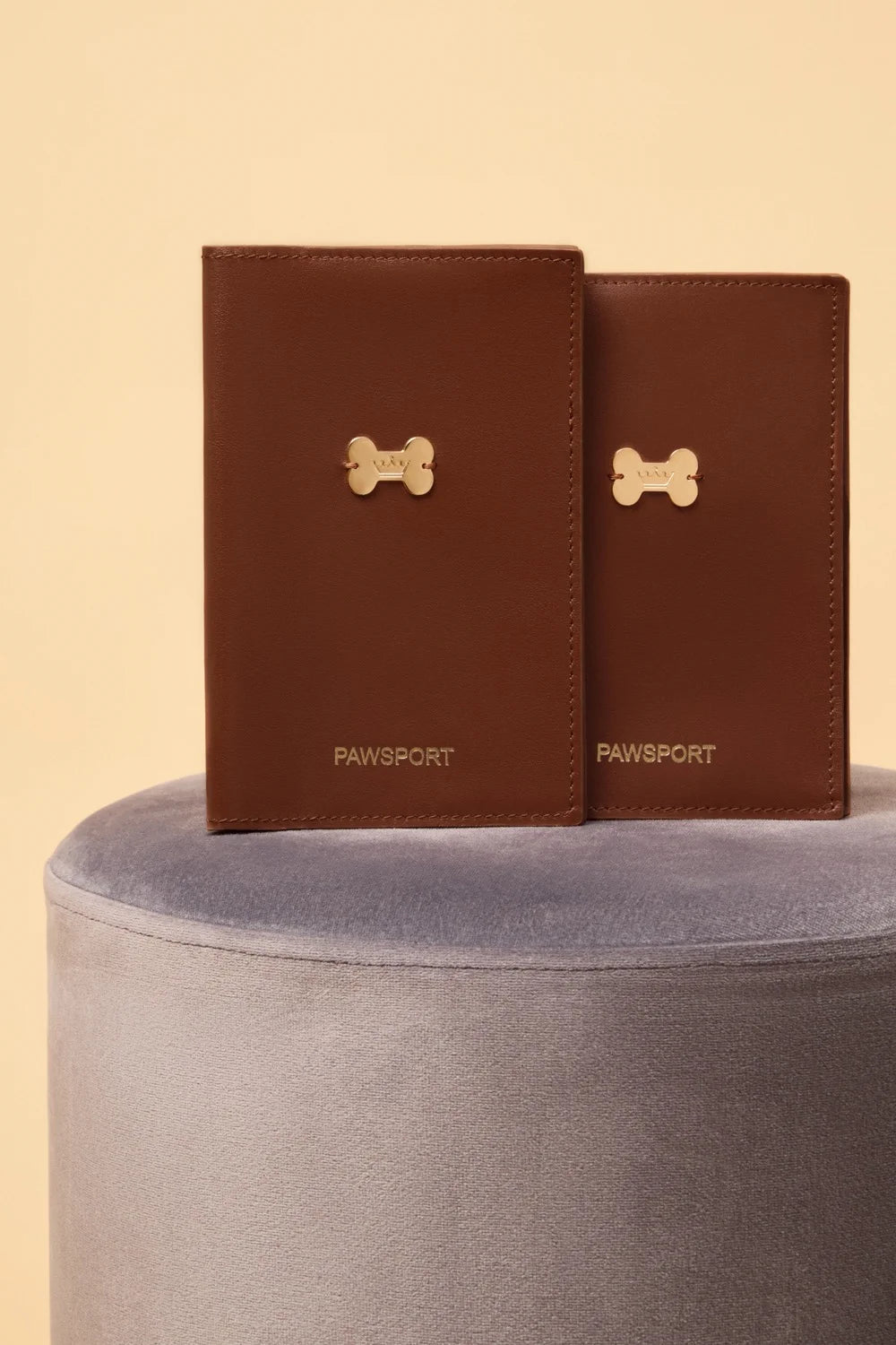 Leather cover for veterinary passport "PaWsport"