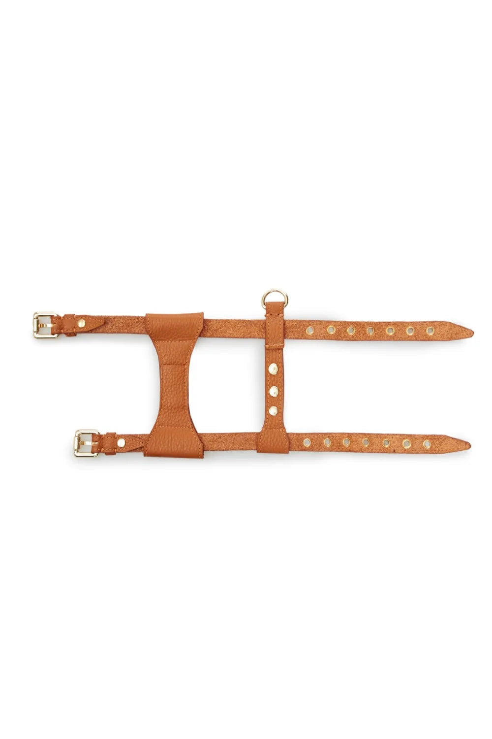 "Dot" harness