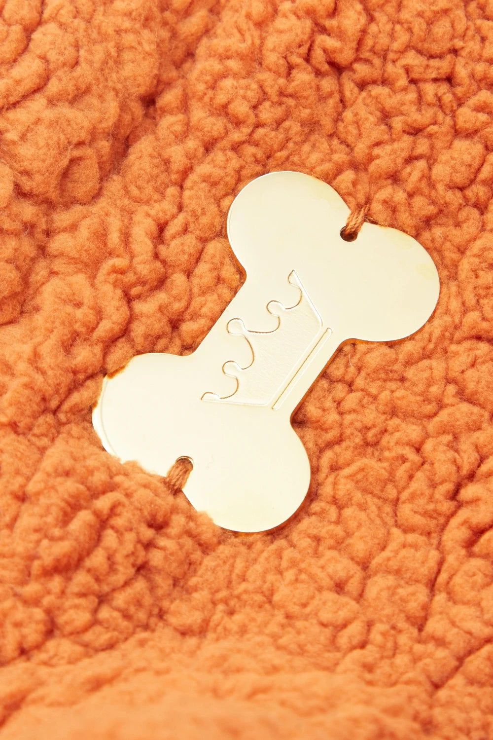 Teddy plush hoodie
