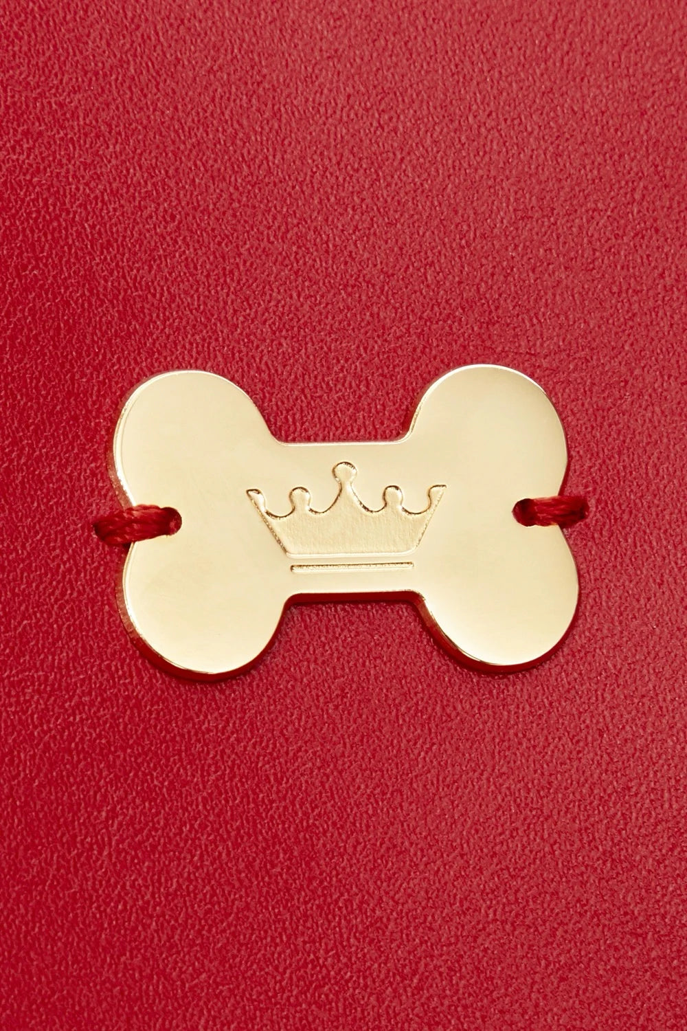 Leather cover for veterinary passport "PaWsport"