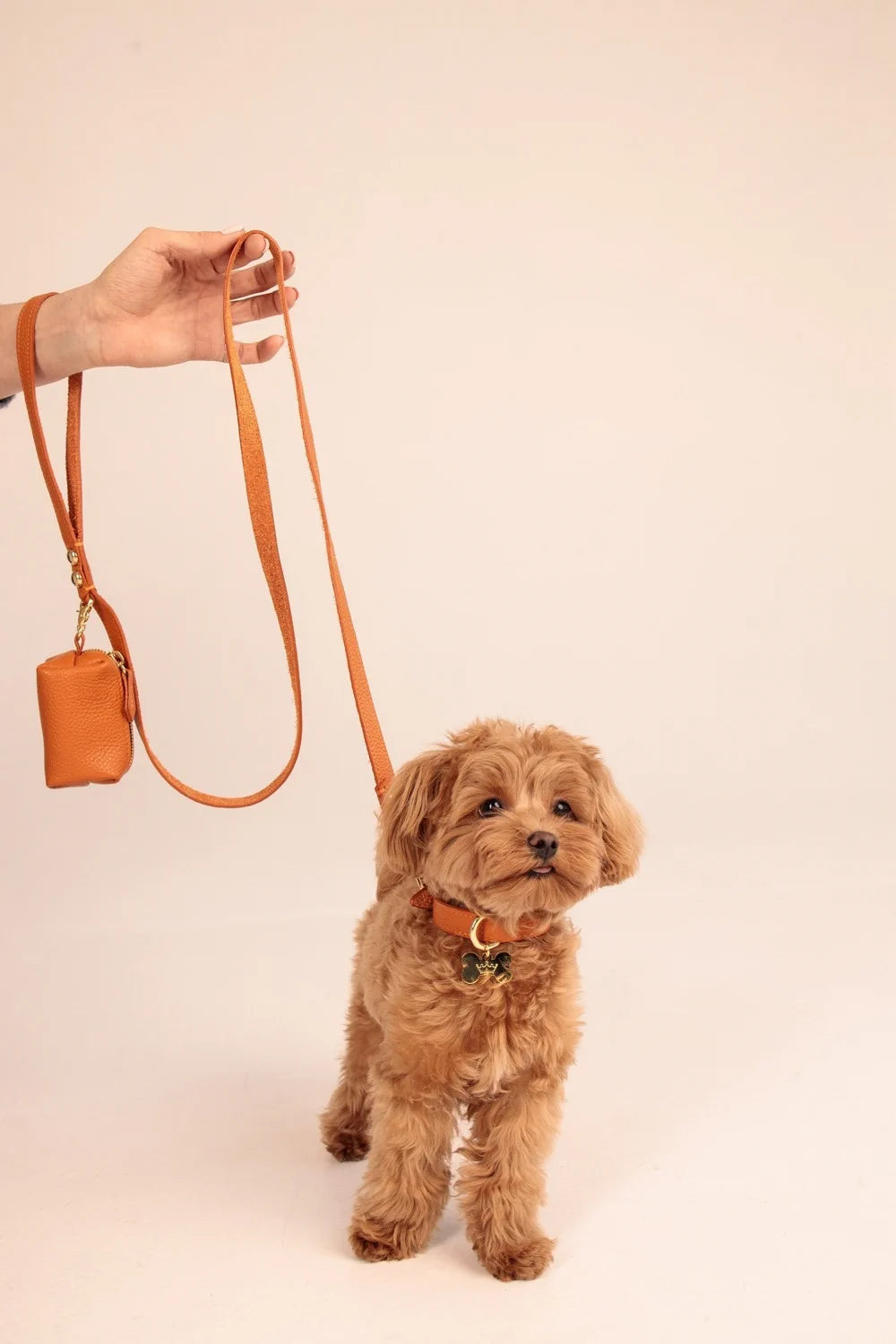 Leather leash
