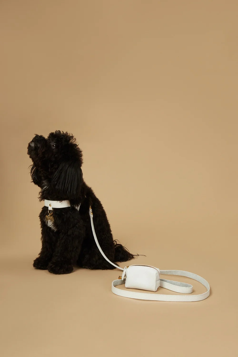 Leather leash