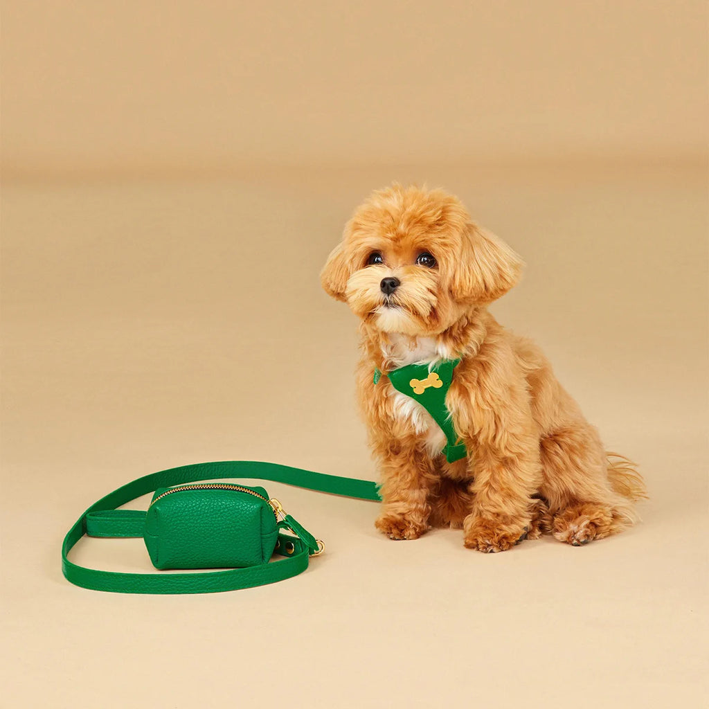 Leather leash