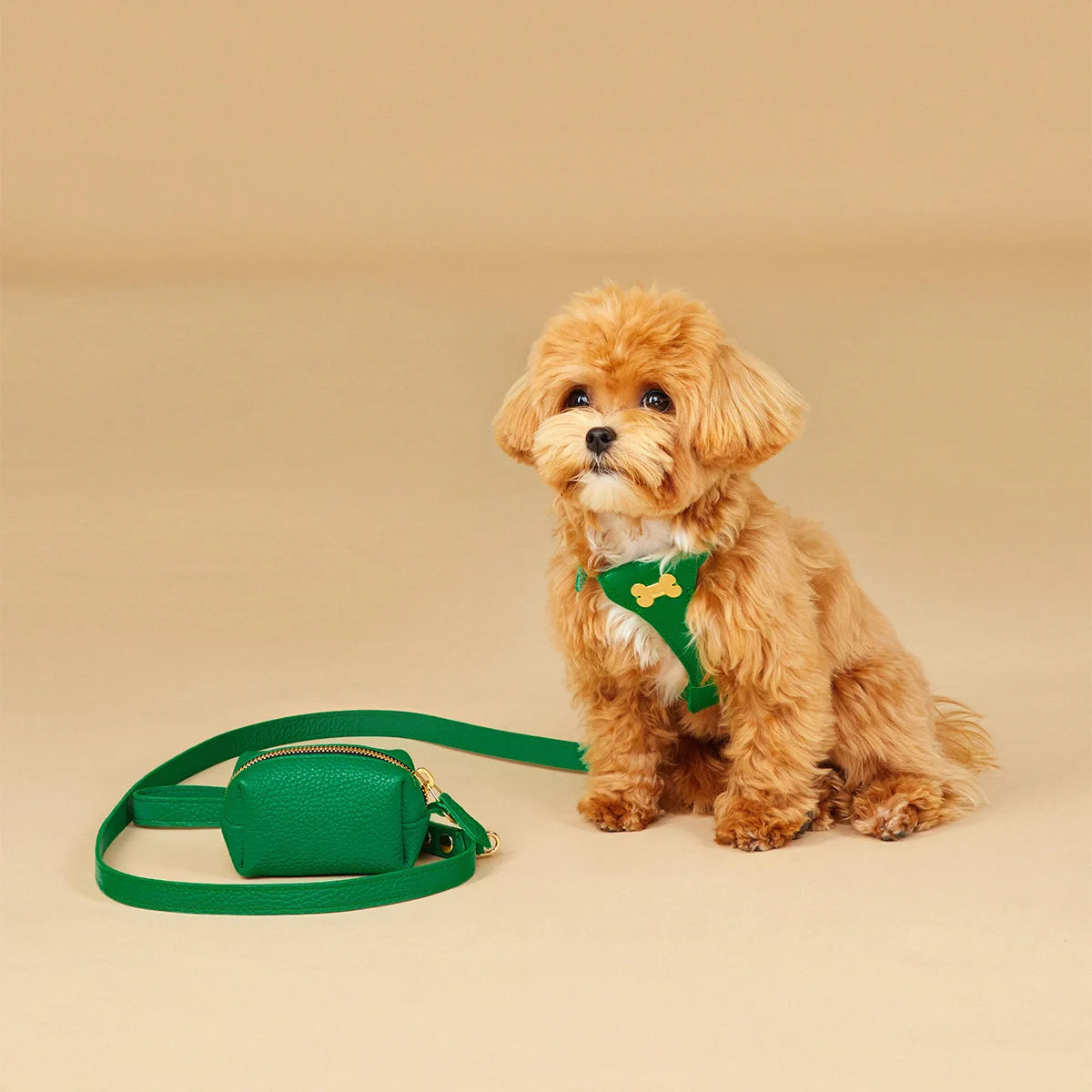 Leather leash