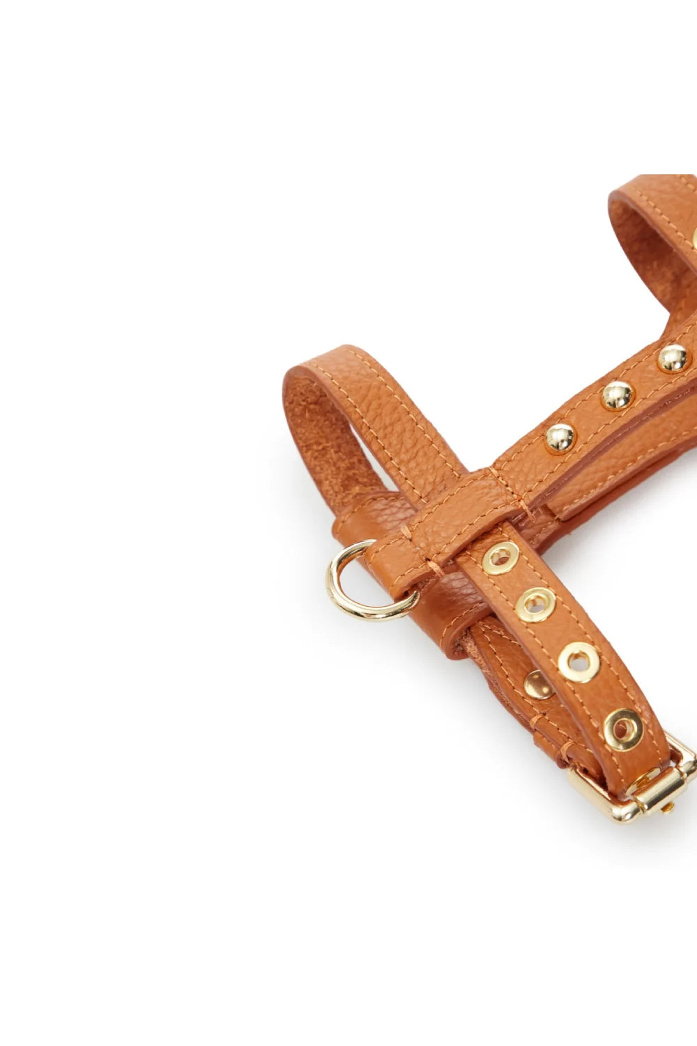"Dot" harness