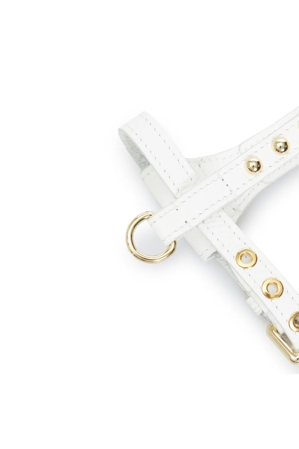 "Dot" harness