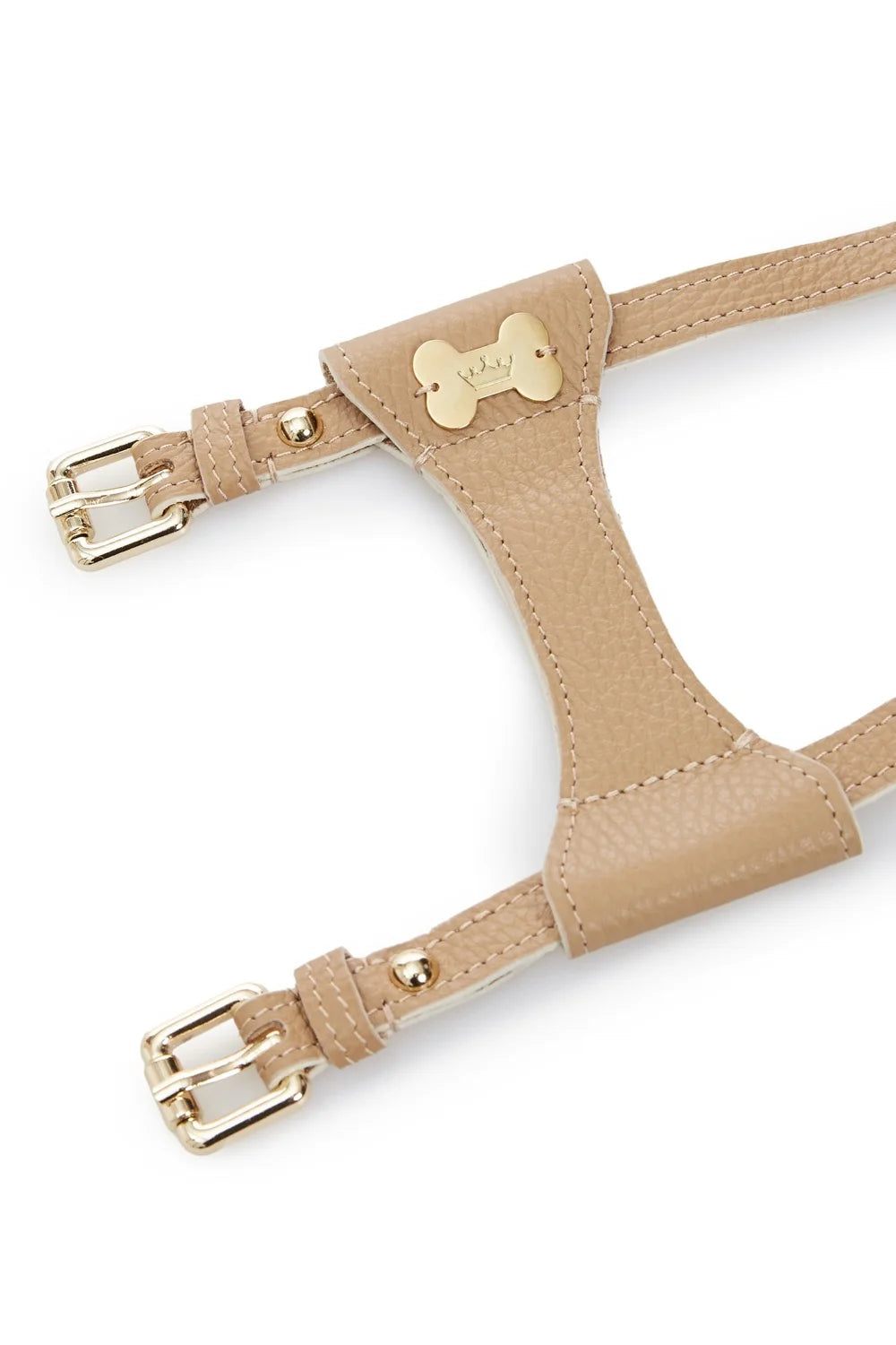 "Dot" harness