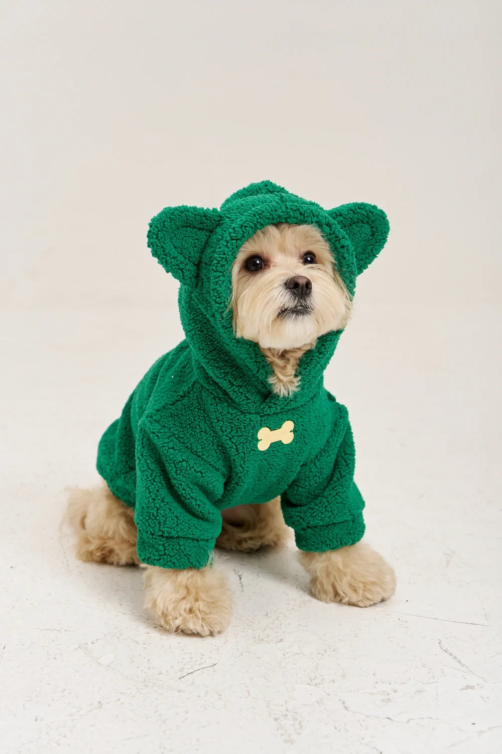 Teddy plush hoodie