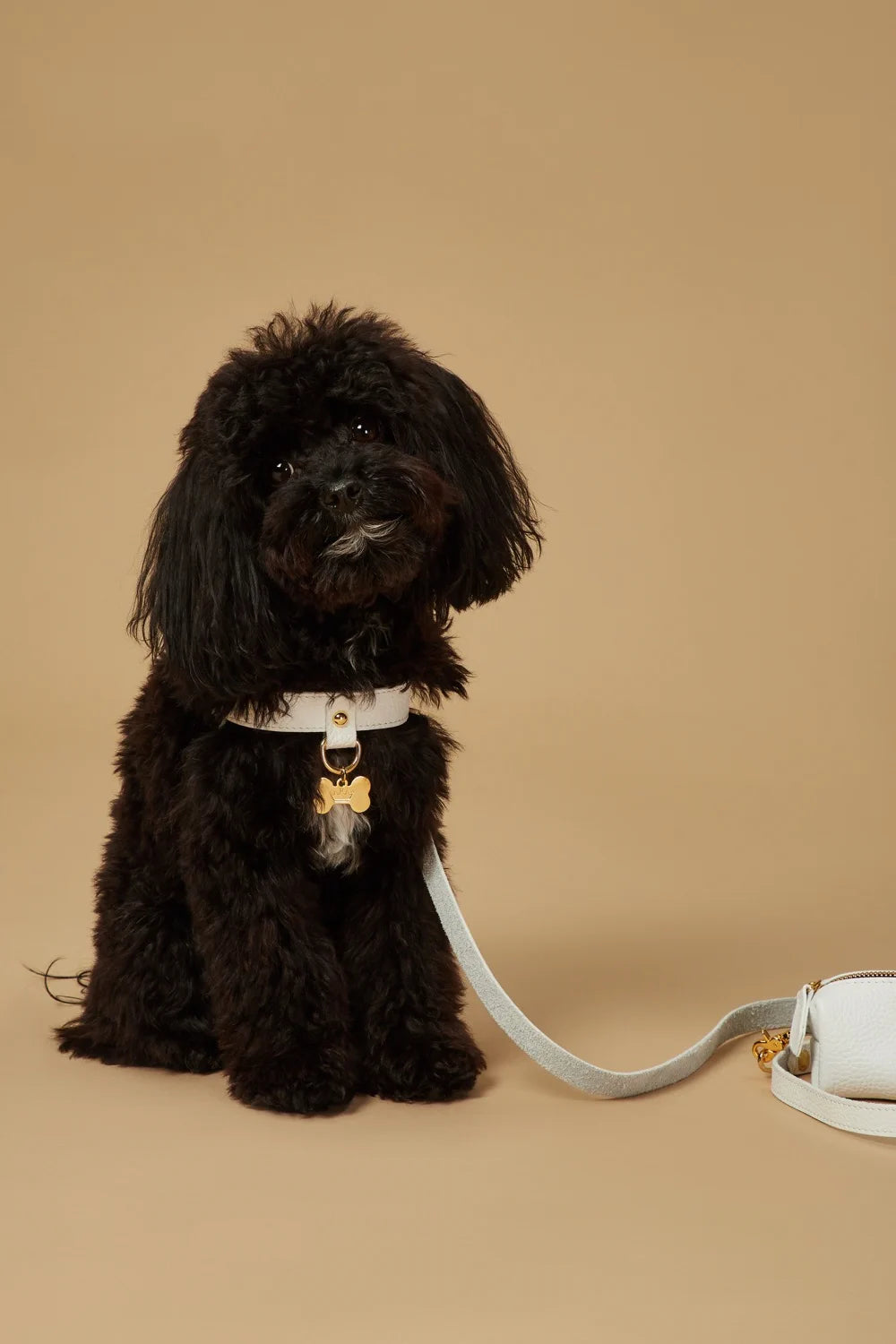 Leather leash