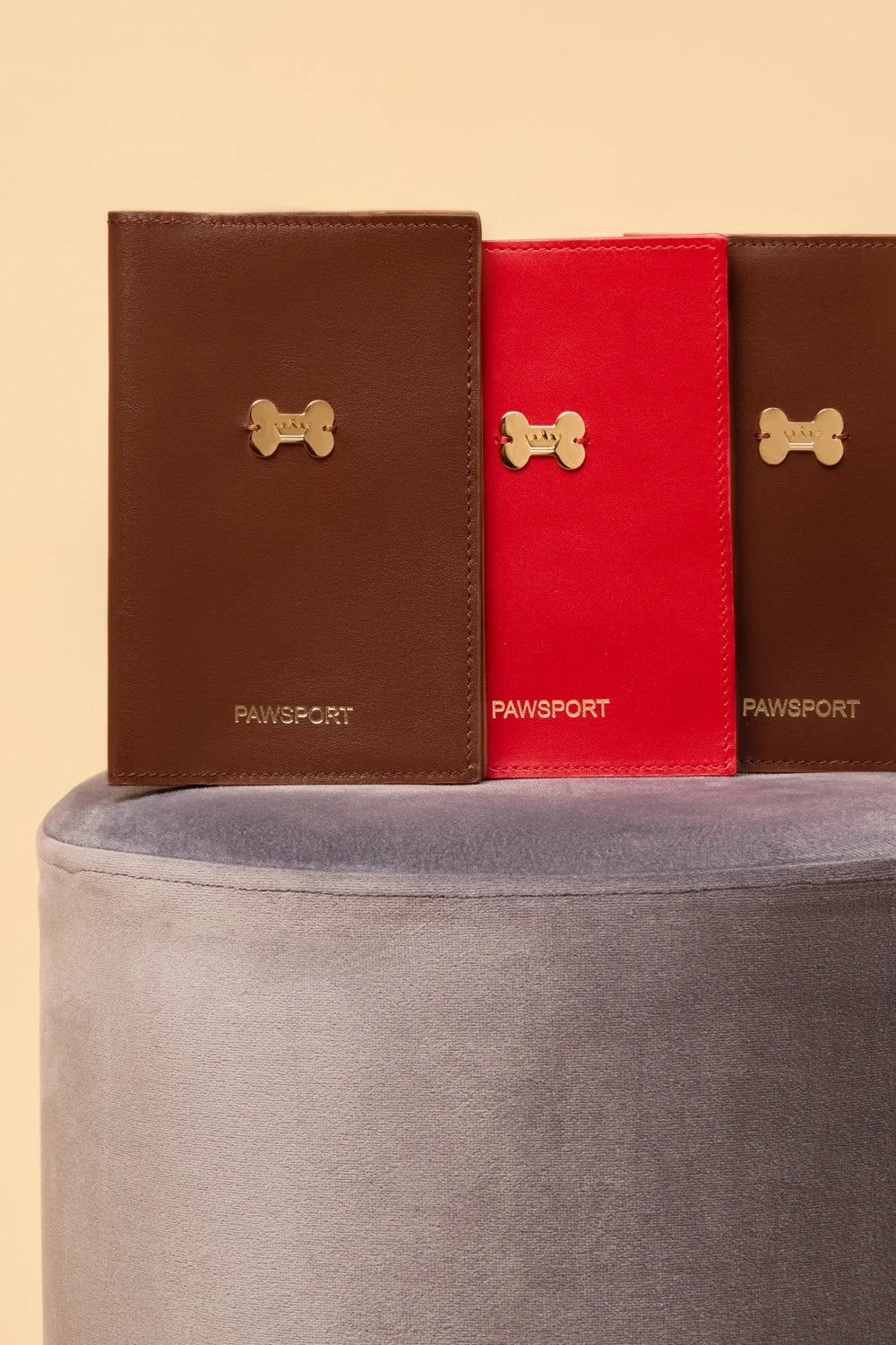 Leather cover for veterinary passport "PaWsport"
