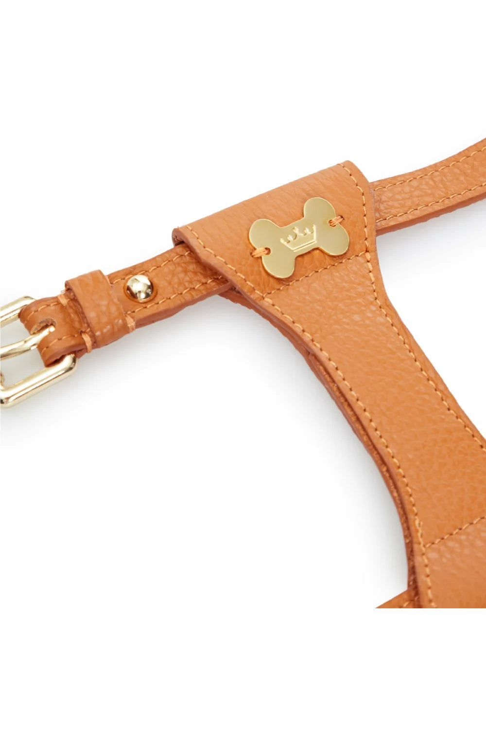 "Dot" harness