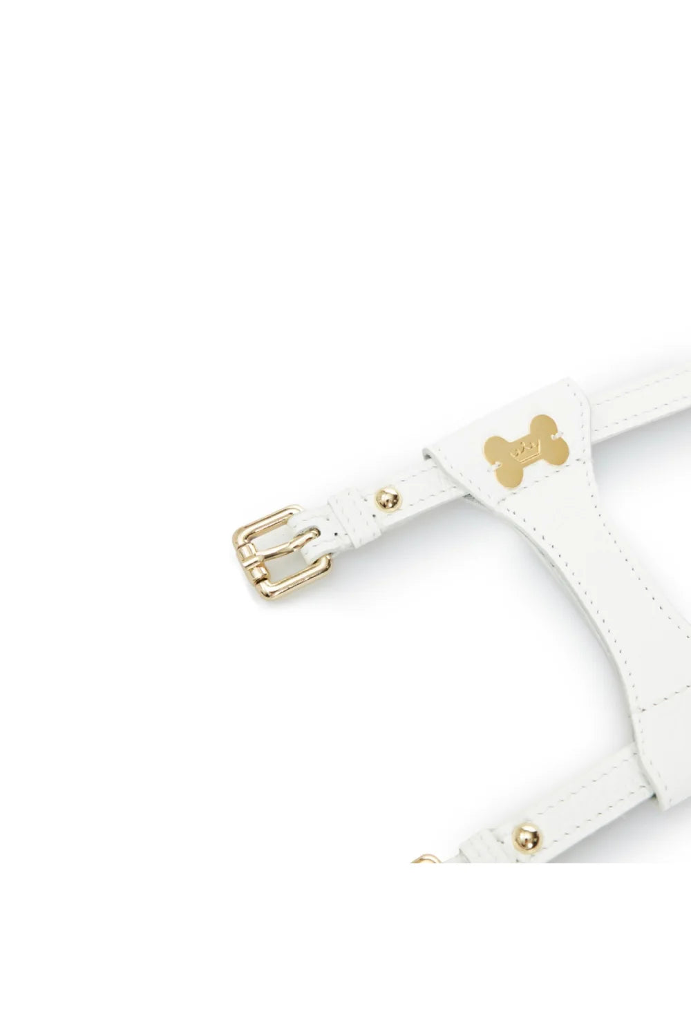 "Dot" harness