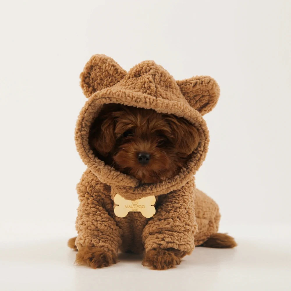 Teddy plush hoodie