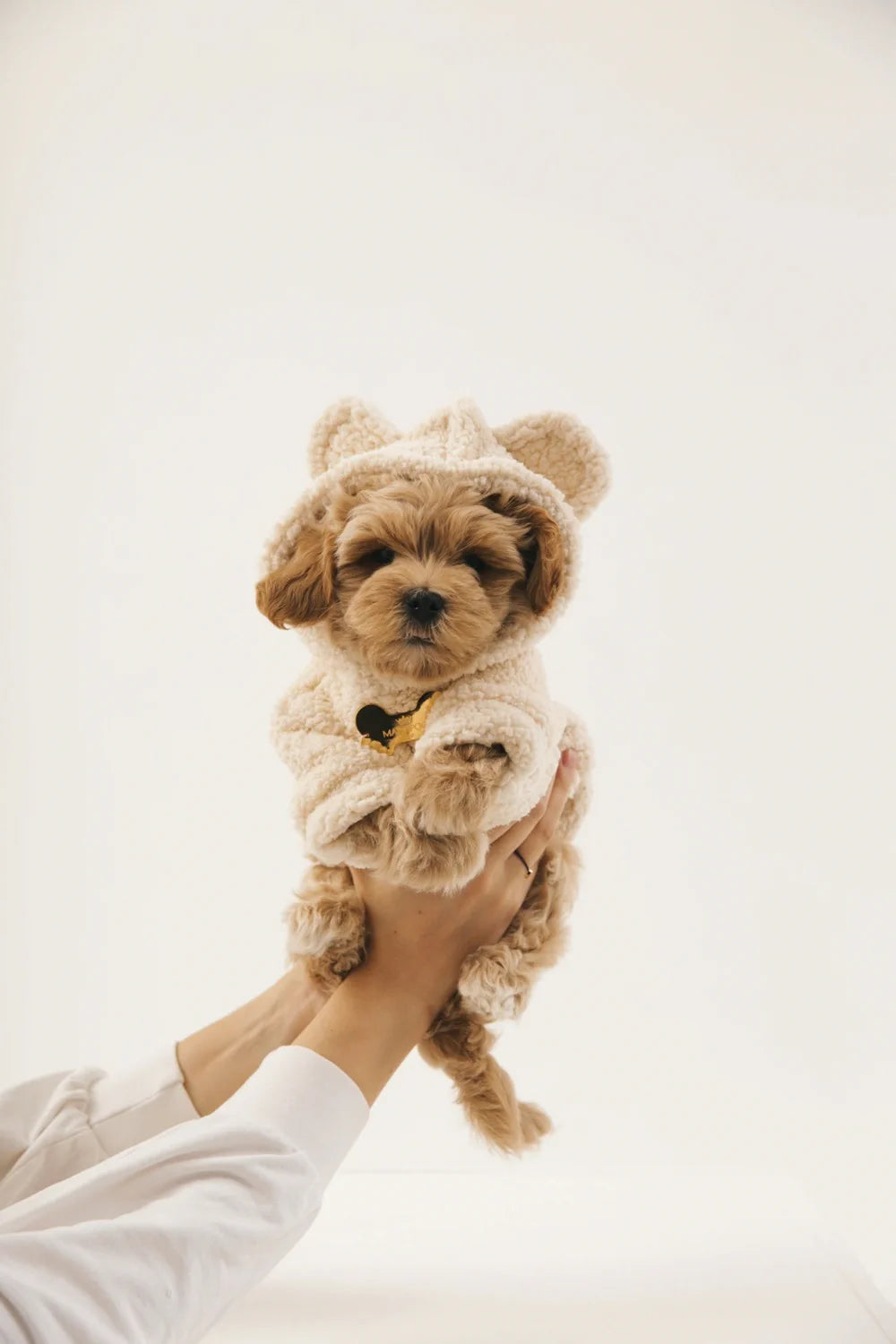 Teddy plush hoodie