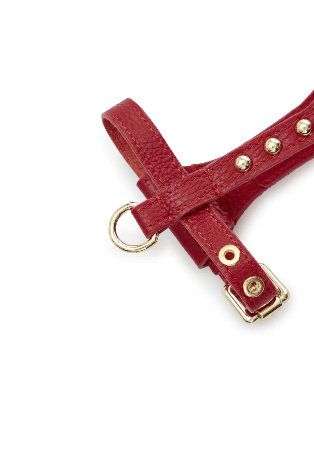 "Dot" harness