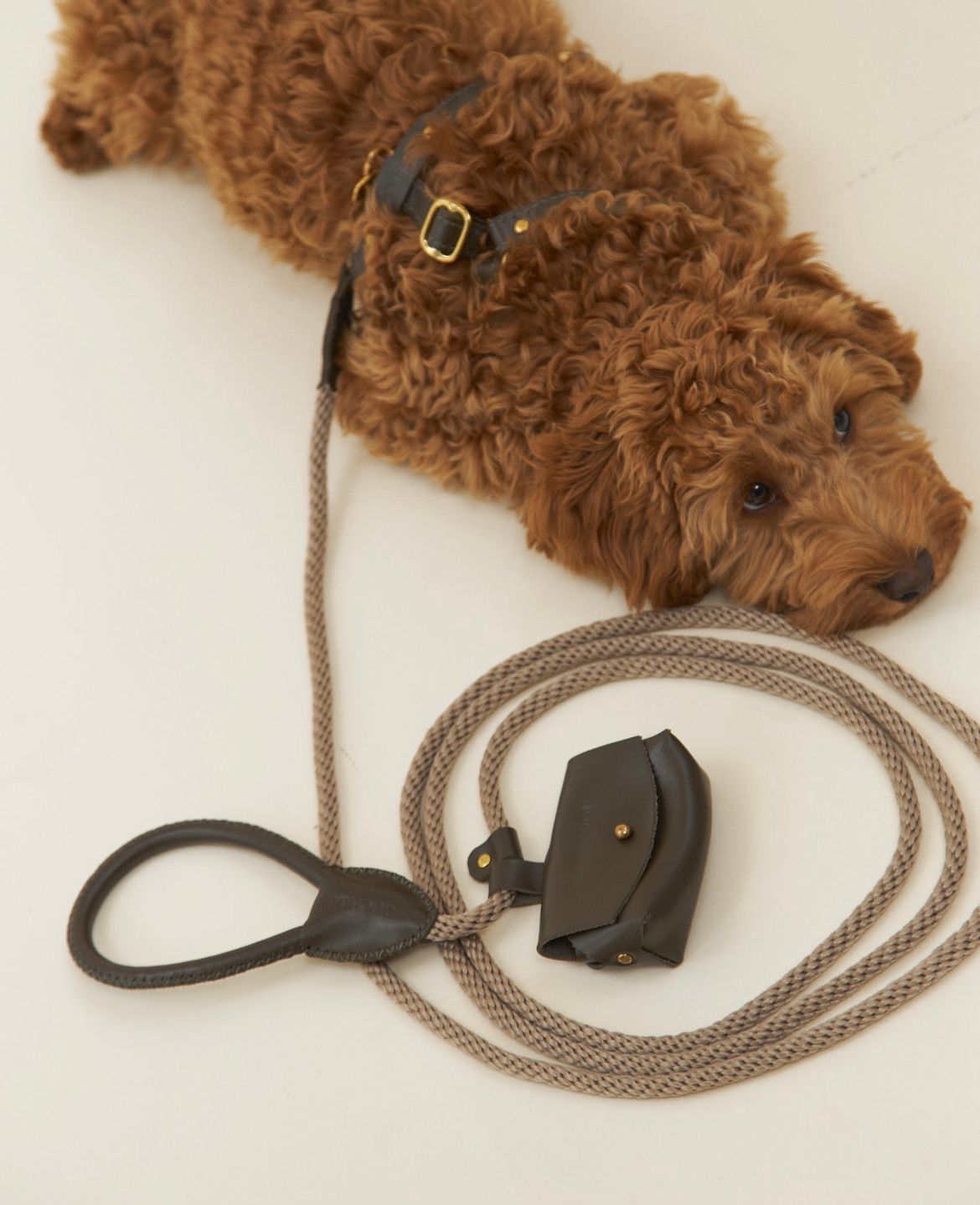 CHOUCHOU Leather leash for dogs "Caviar" white