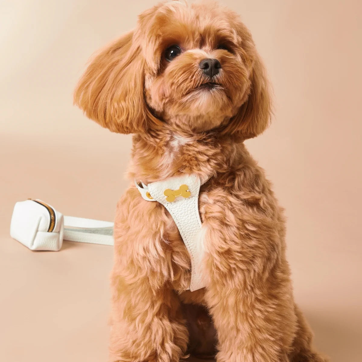 "Dot" harness