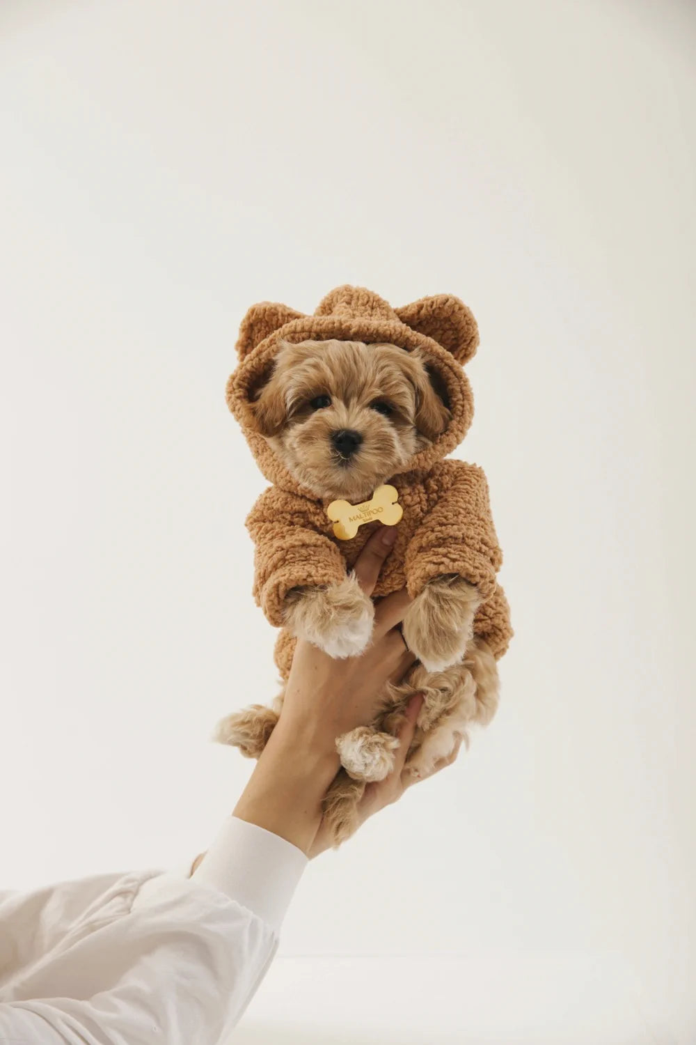Teddy plush hoodie